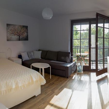 Apartament Kameralny คาชิเมียร์ซ ดอลนี ภายนอก รูปภาพ