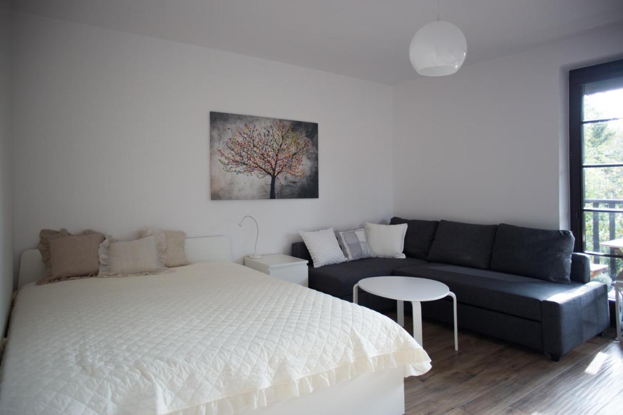 Apartament Kameralny คาชิเมียร์ซ ดอลนี ภายนอก รูปภาพ